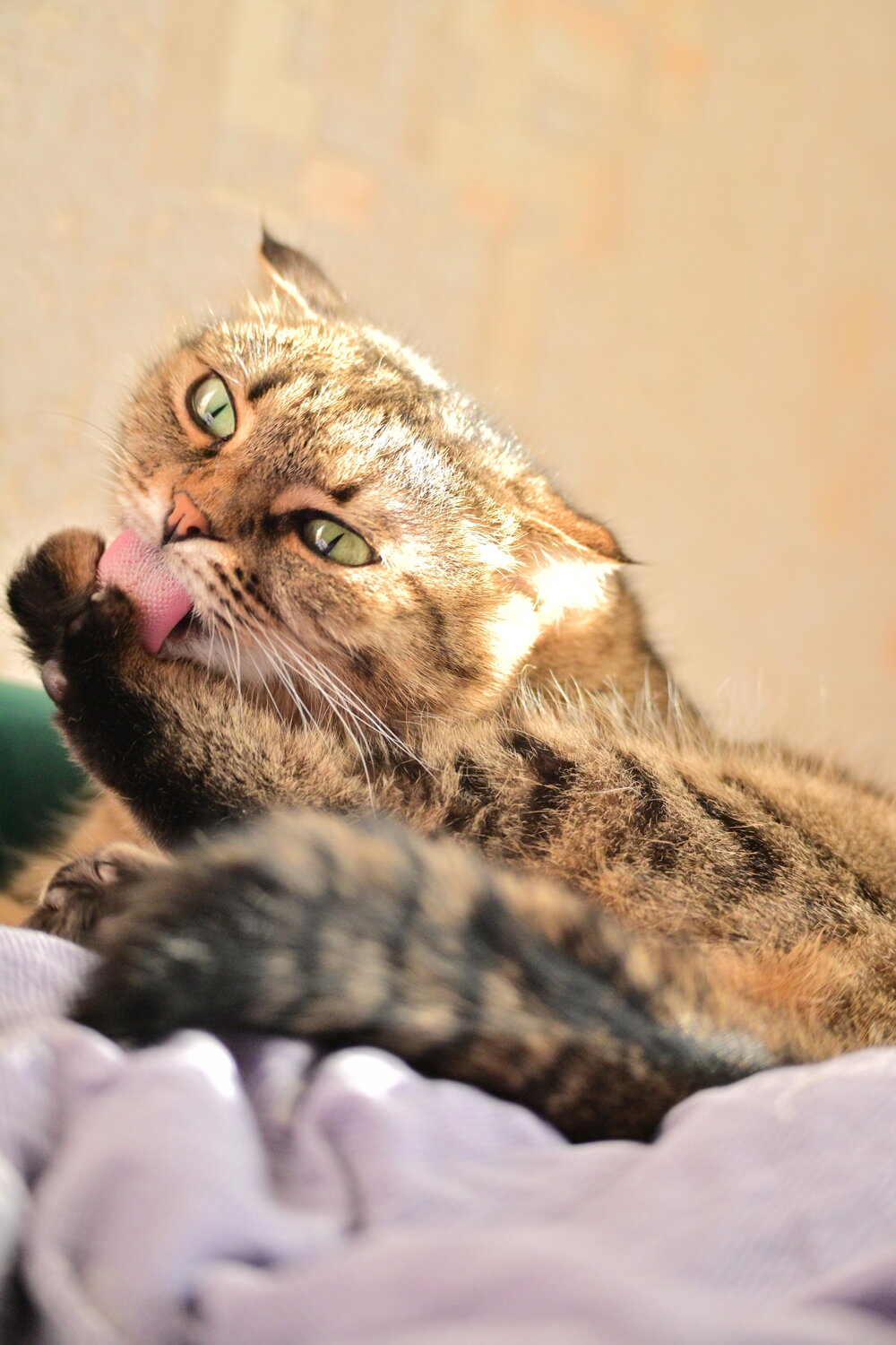 Photo #14035207