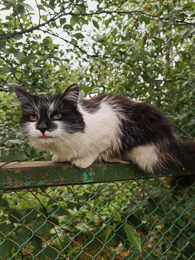 Photograph by Елена Пархоменко
