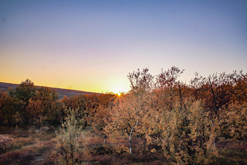Photograph by Алина Быстрова