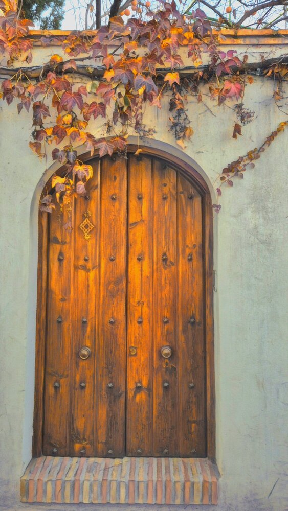 Photograph by Juliana Pedevilla