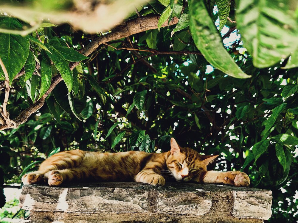 Photograph by Arthur Mazovka