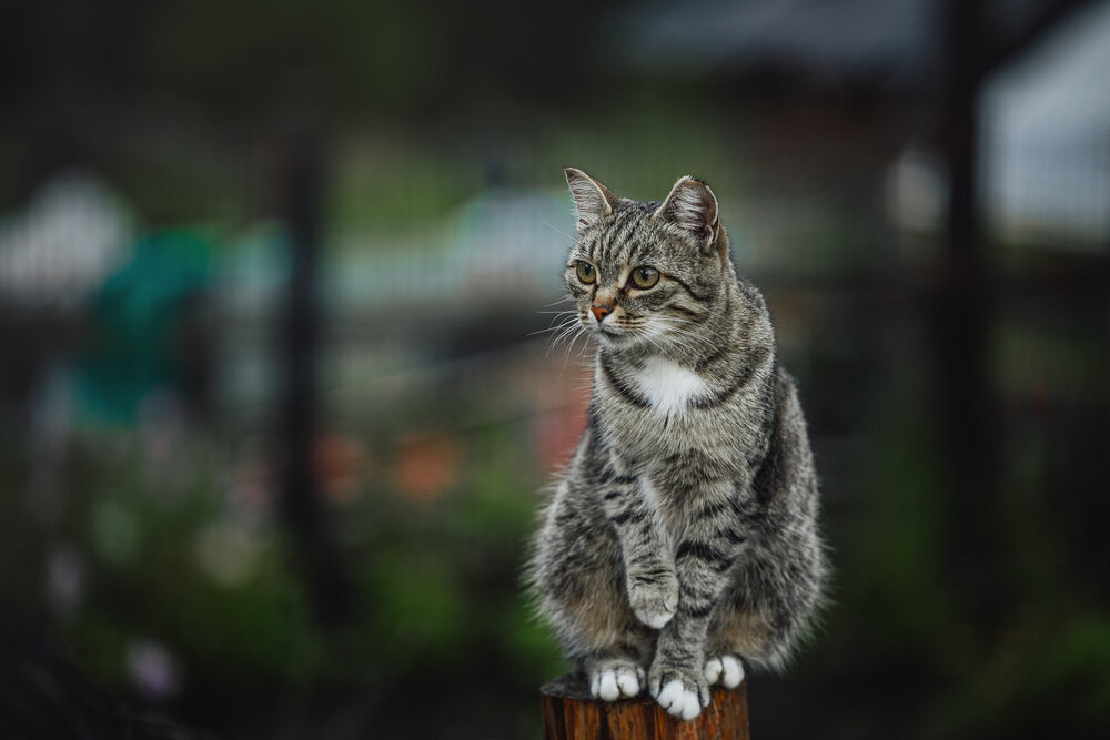 Photograph by Елена Титенская