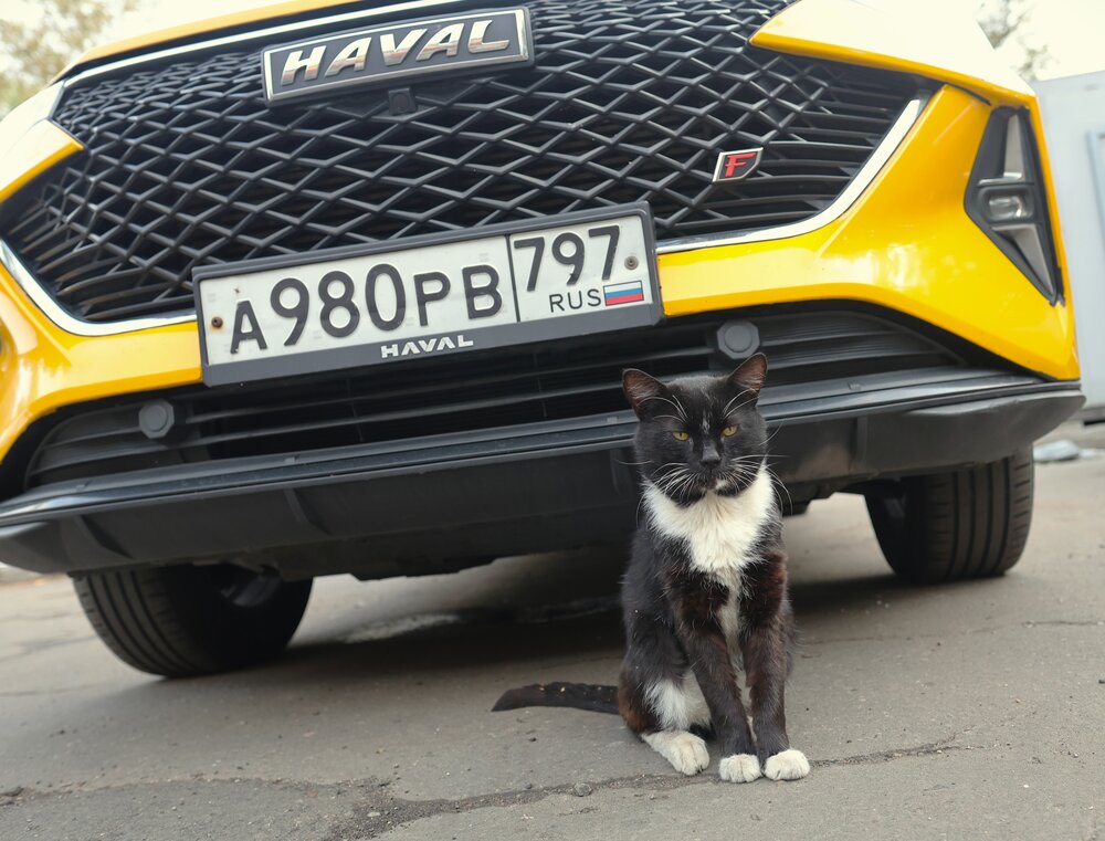 Photograph by Гагик Саркисян