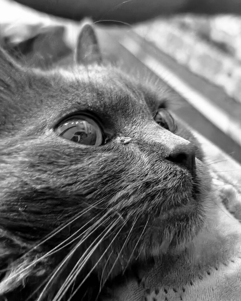 Фотография автора Марина Нов