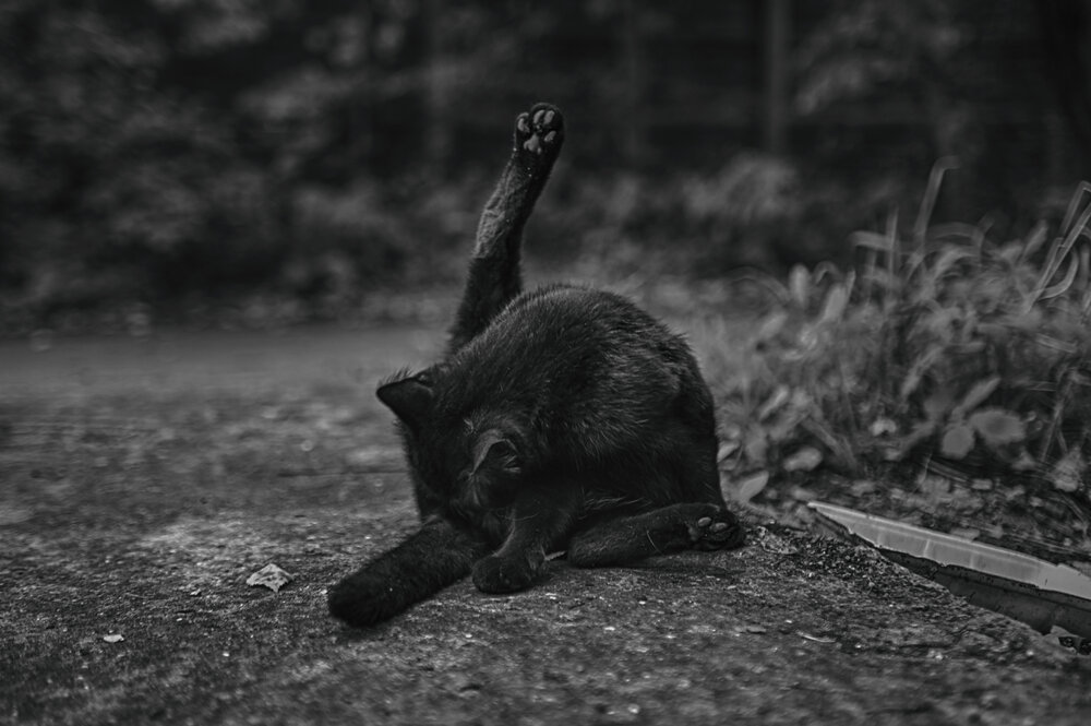 Photograph by Константин Сафронов