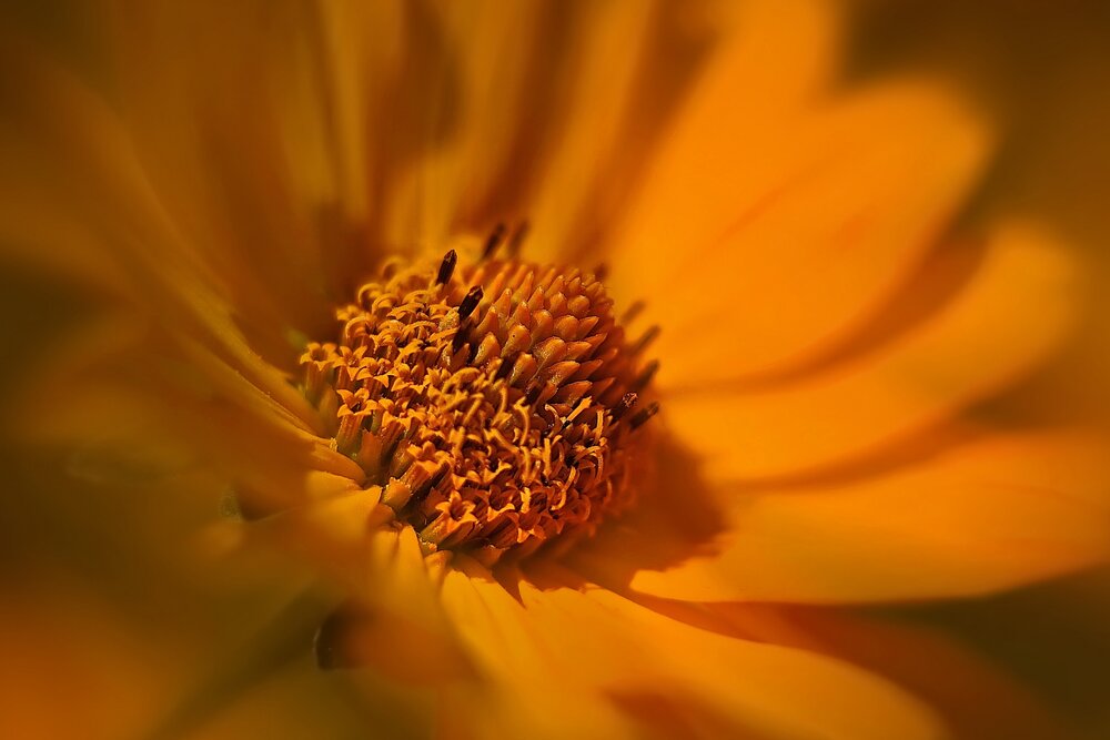 Photograph by Татьяна Бравая