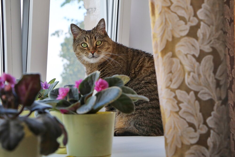 Photograph by Елена Клементьевская