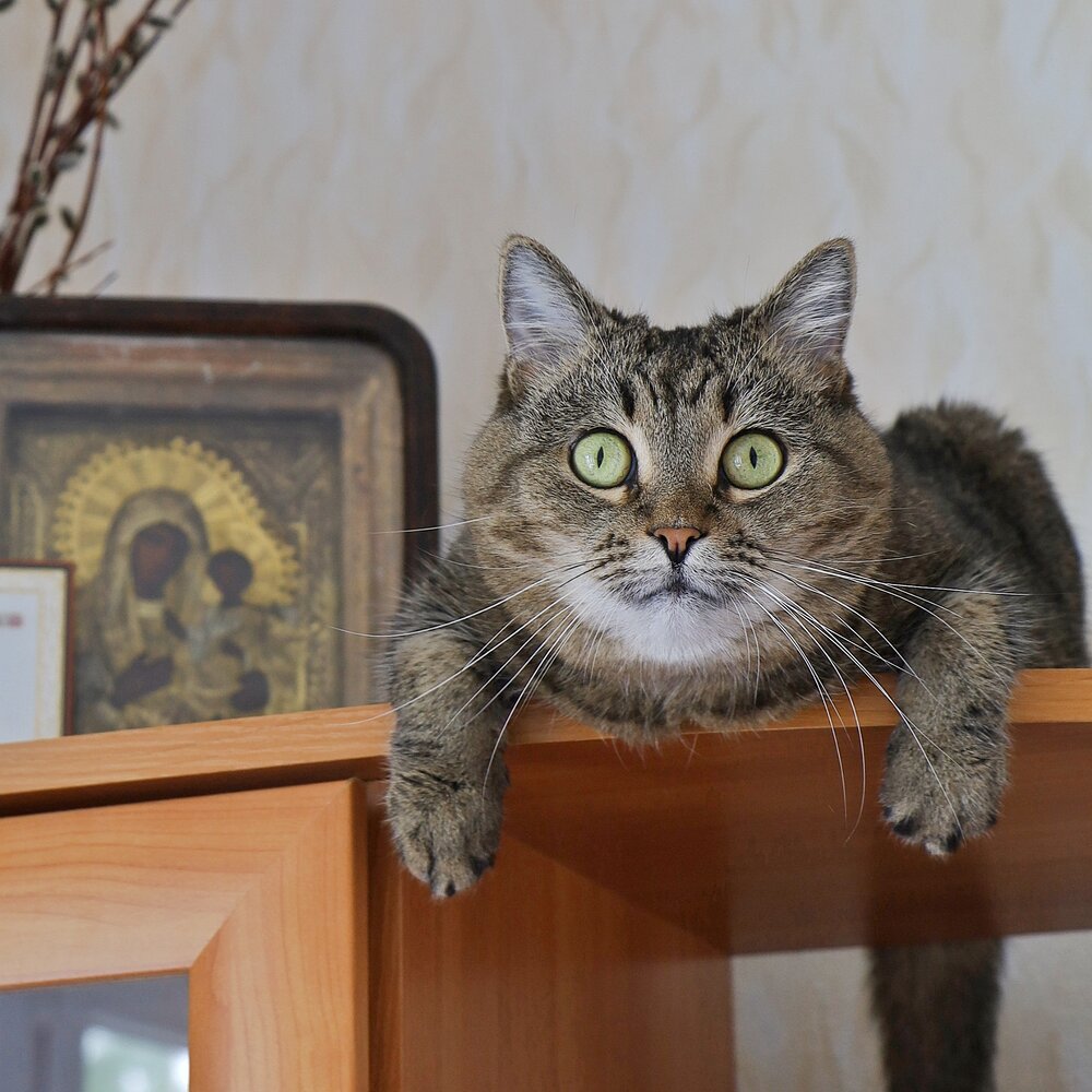 Photograph by Елена Клементьевская