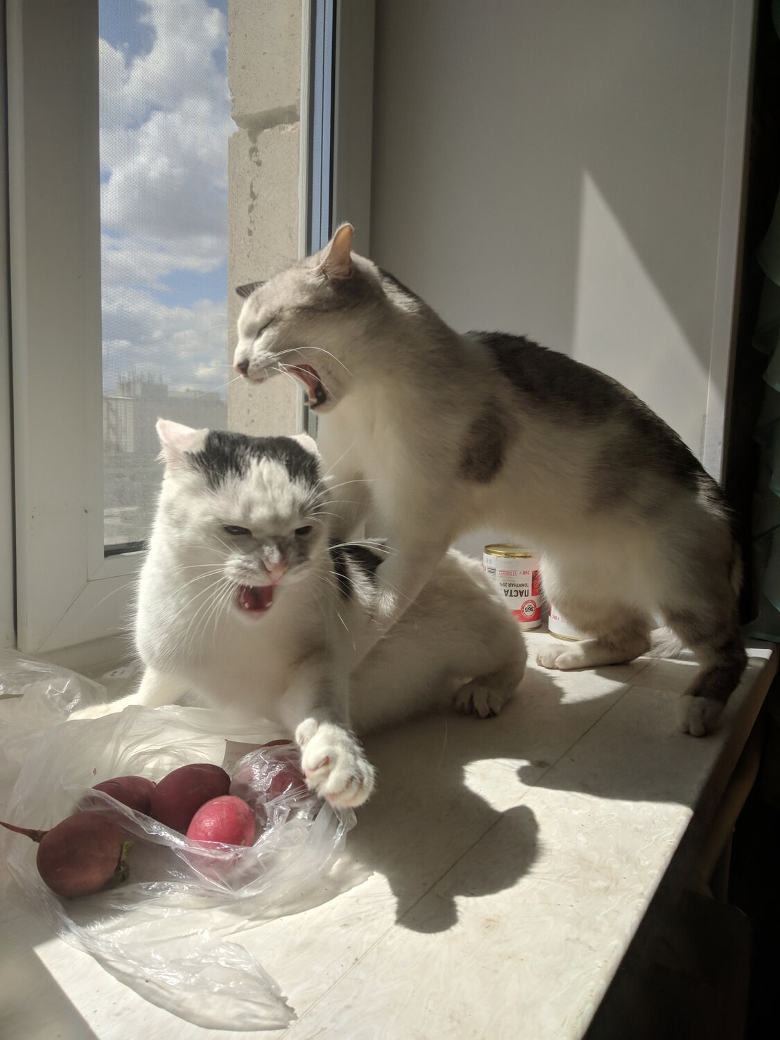 Photo #14035422