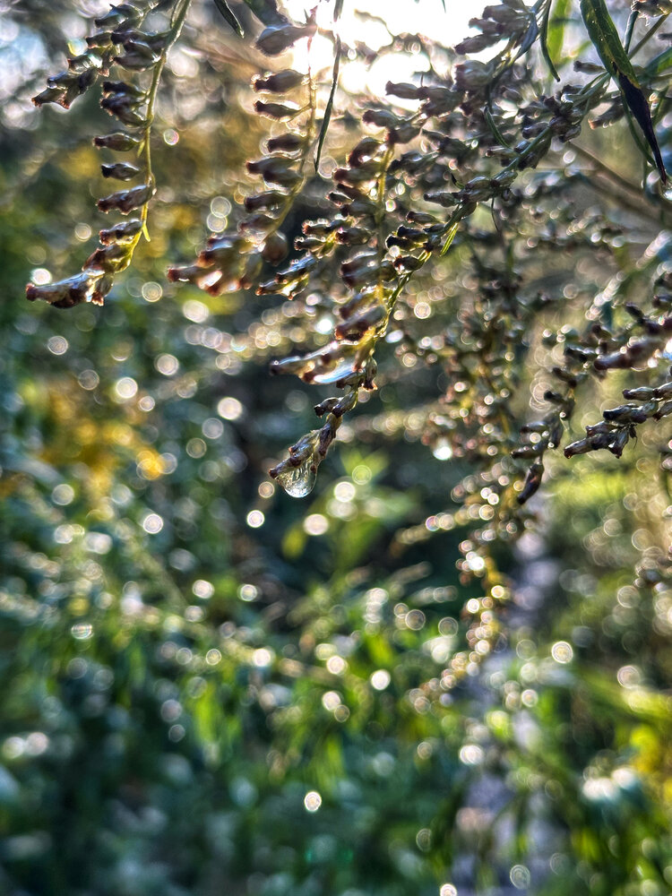 Photograph by Ирина