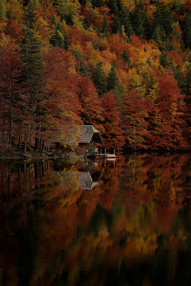 Photograph by Maja Esch