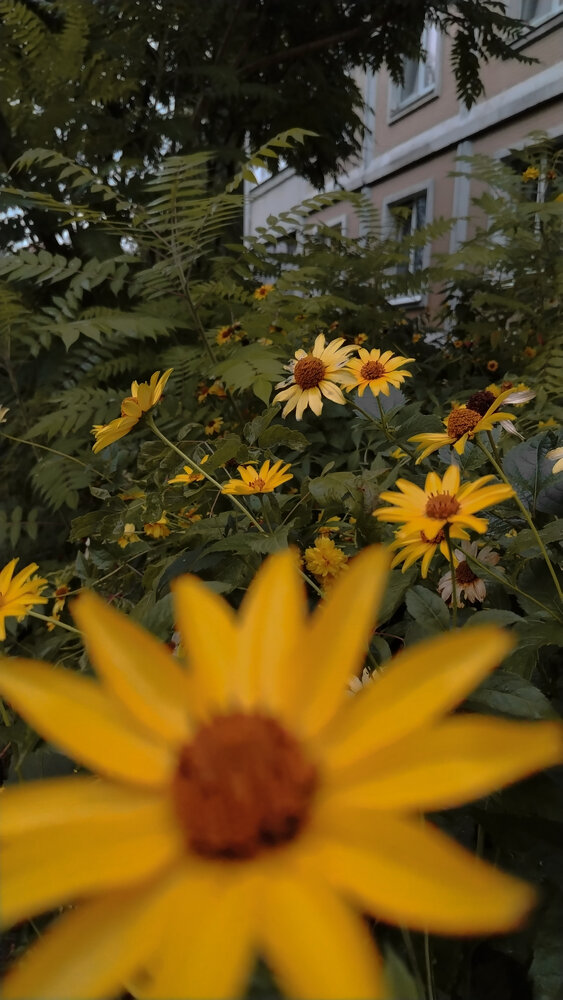 Photo #14035444