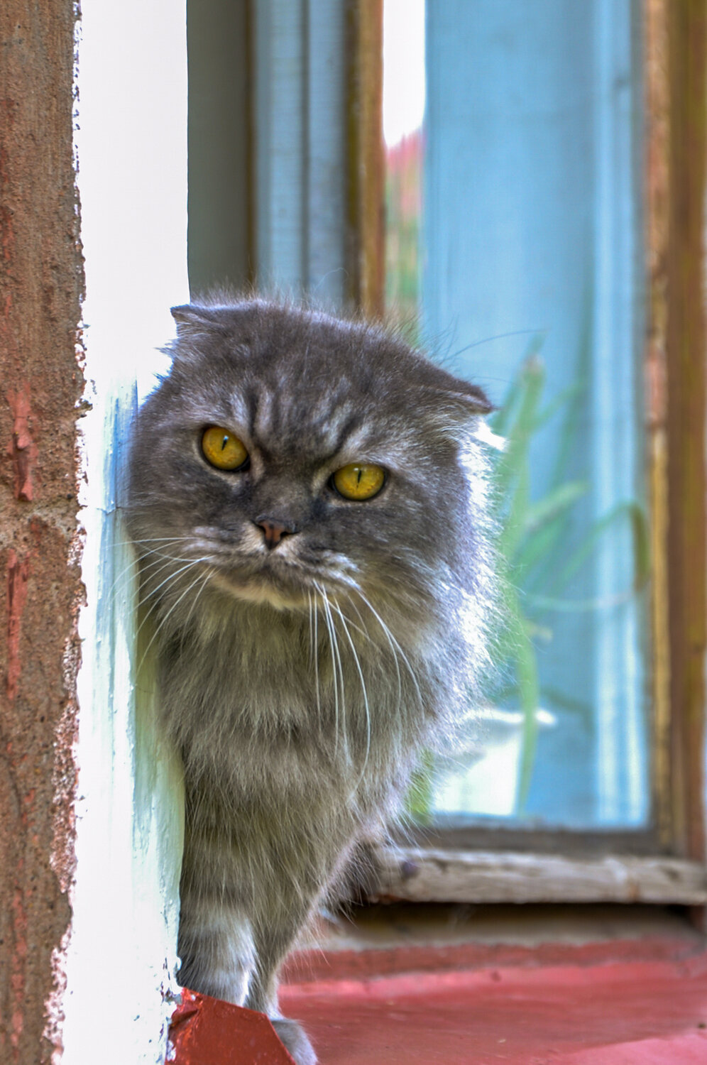 Photo #14035455