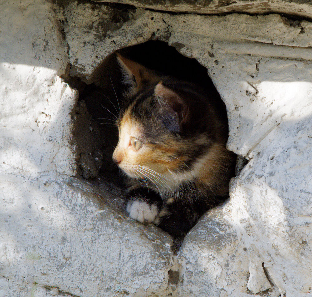 Photograph by Павел Кулинич