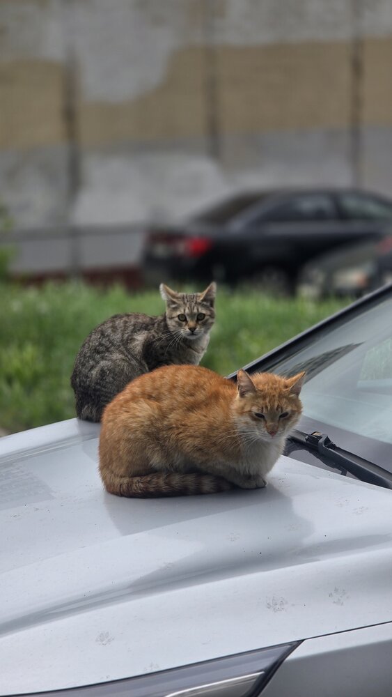 Photograph by Светлана