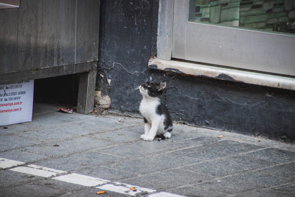 Photograph by 