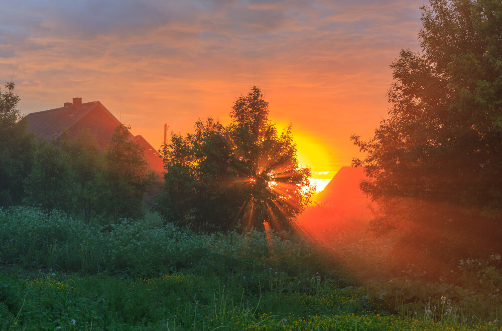 Photograph by Литвинов Александр