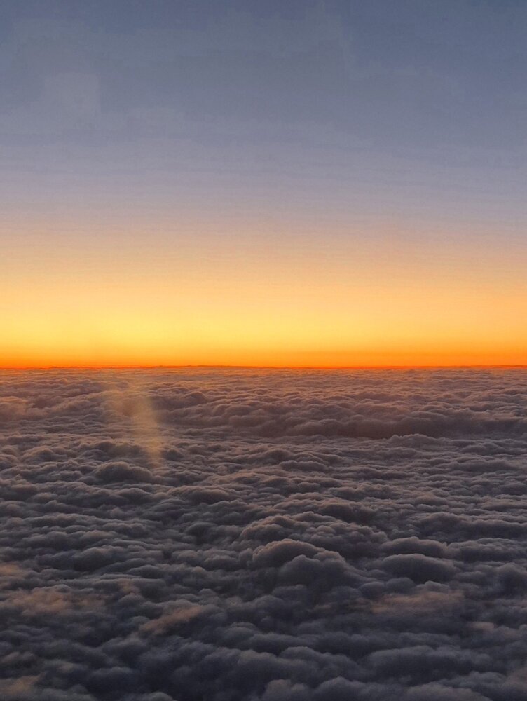 Photograph by Juliana Pedevilla