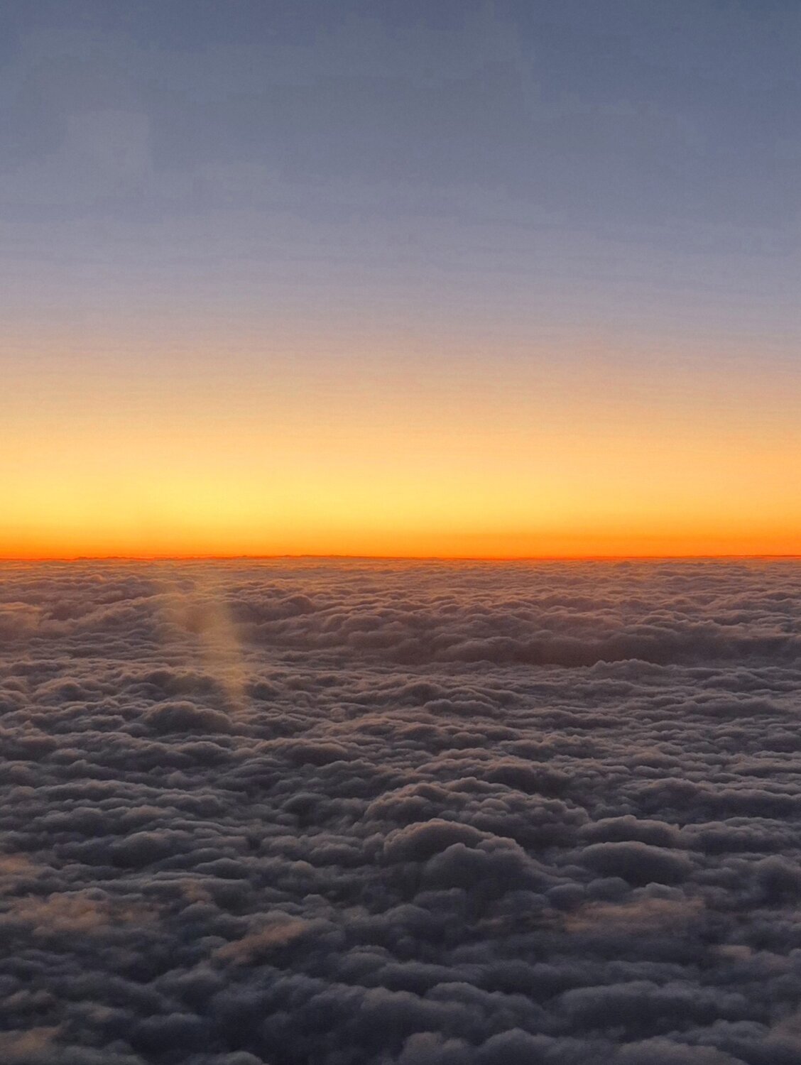 Photo #14035613