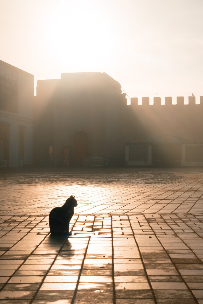 Photograph by Pierre Pauwels