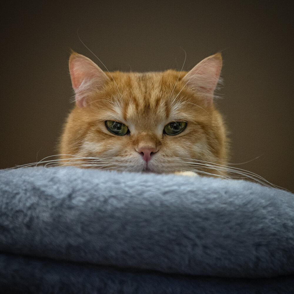 Photograph by Сергей Селиванов