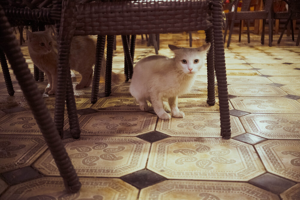Photograph by Юлия Лебедева
