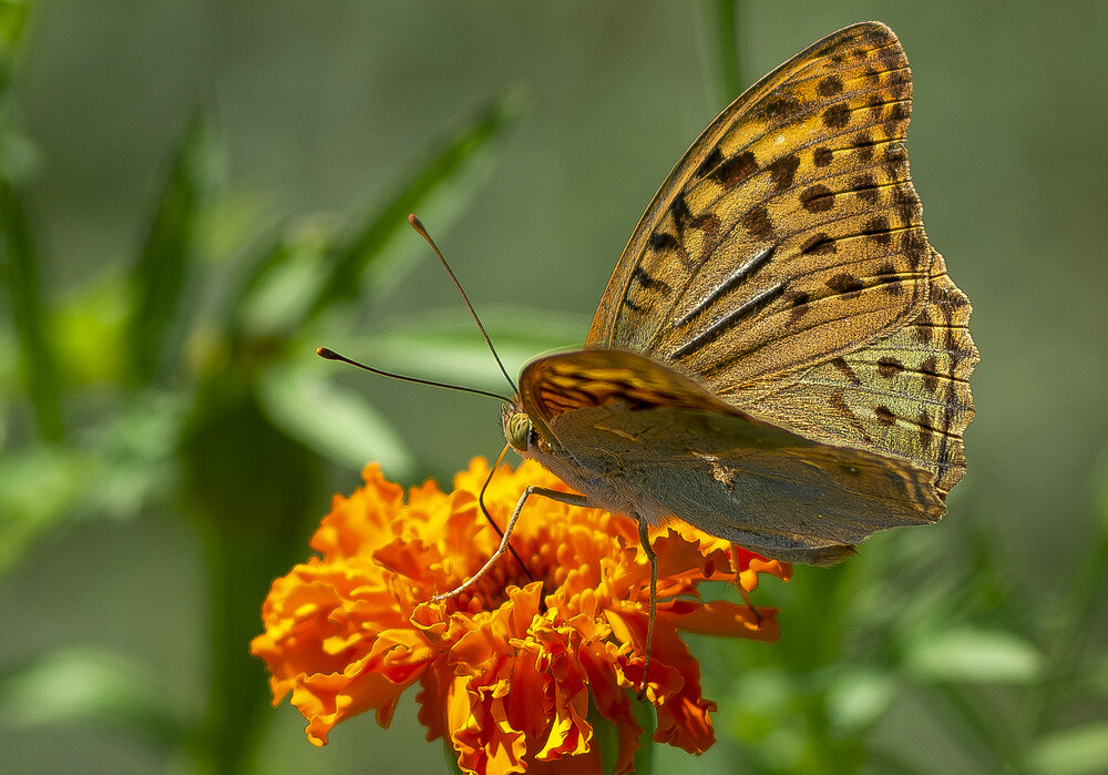 Photograph by Дмитрий Кетов