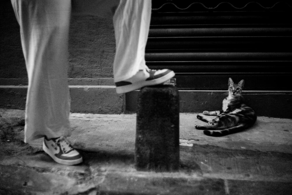 Photograph by Selman Senturk