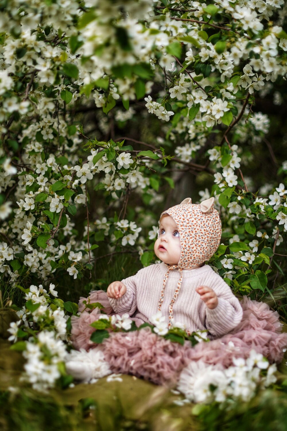 Photo #14035682