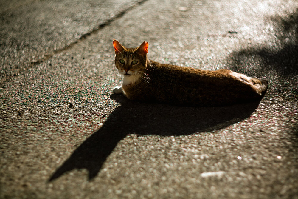 Photograph by Selman Senturk