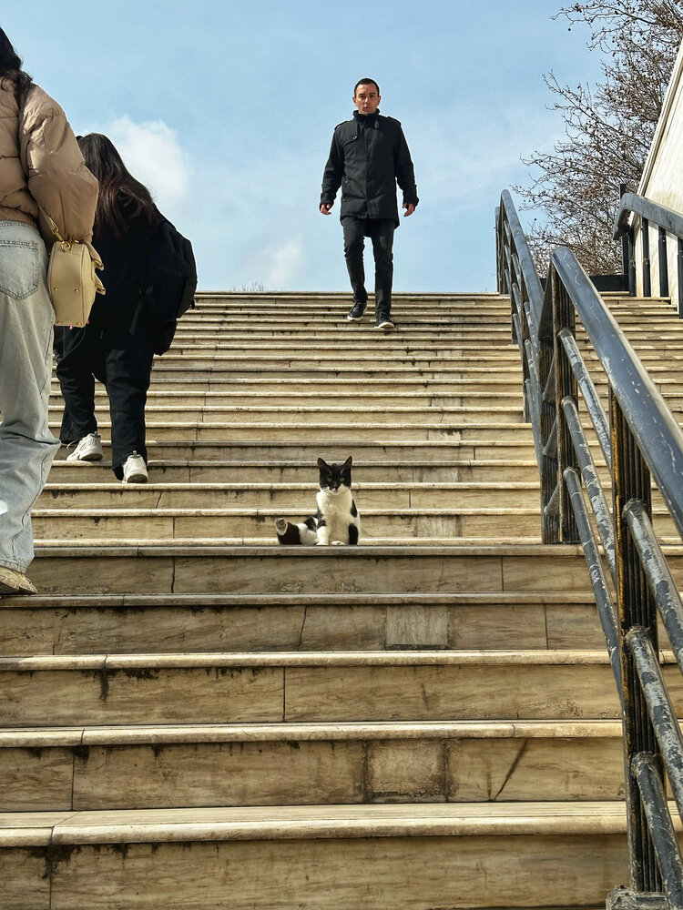 Photograph by Ирина