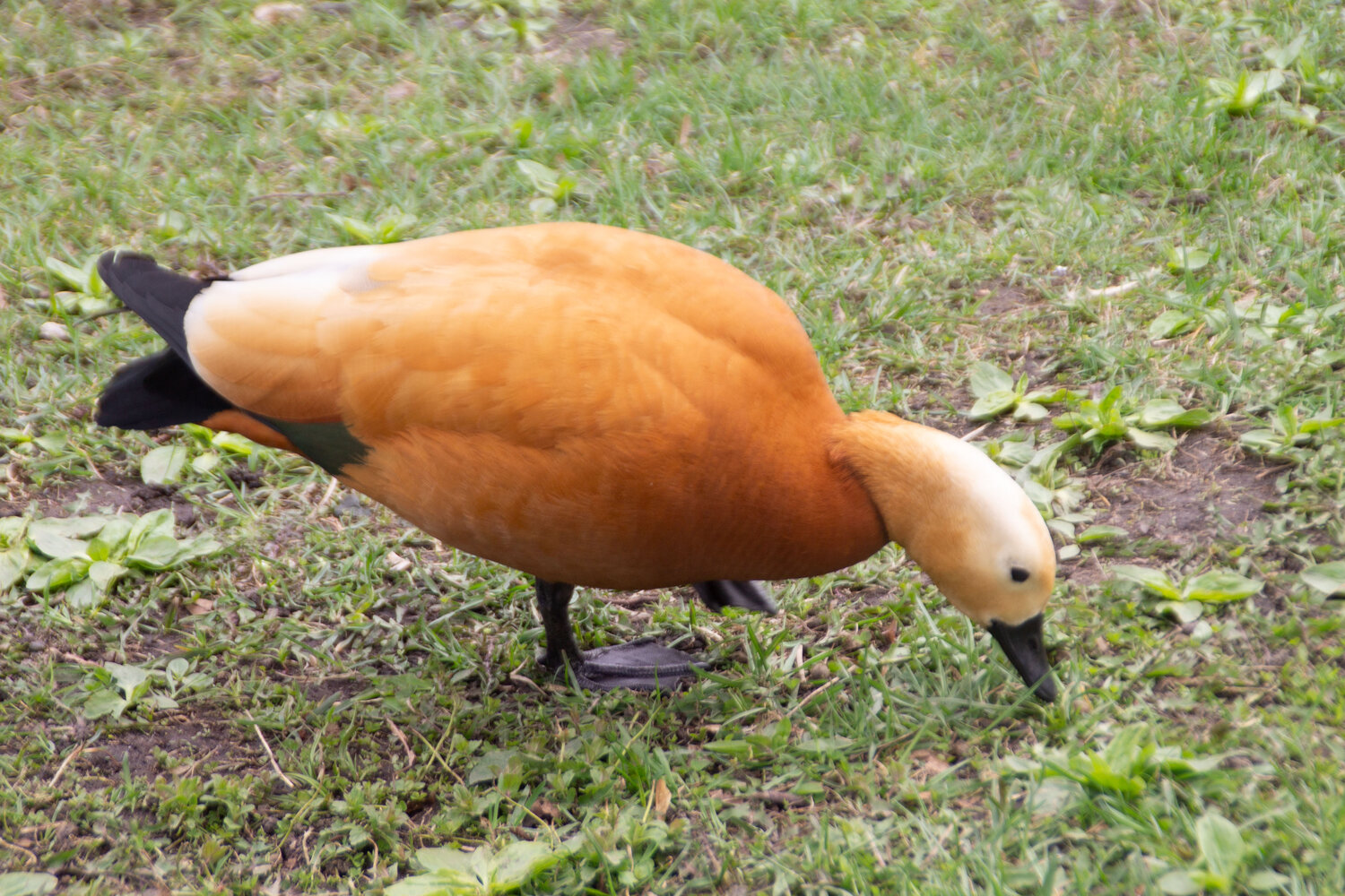 Photo #14035763