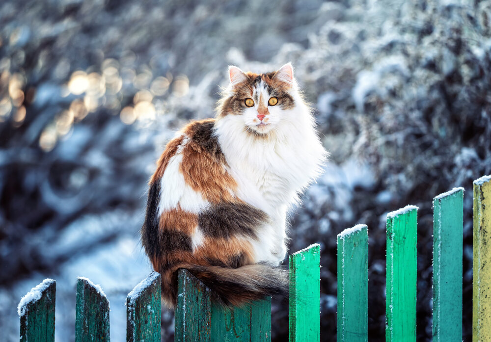 Photograph by Наталья