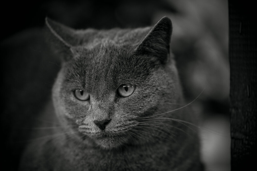 Photograph by Тимур Зенин