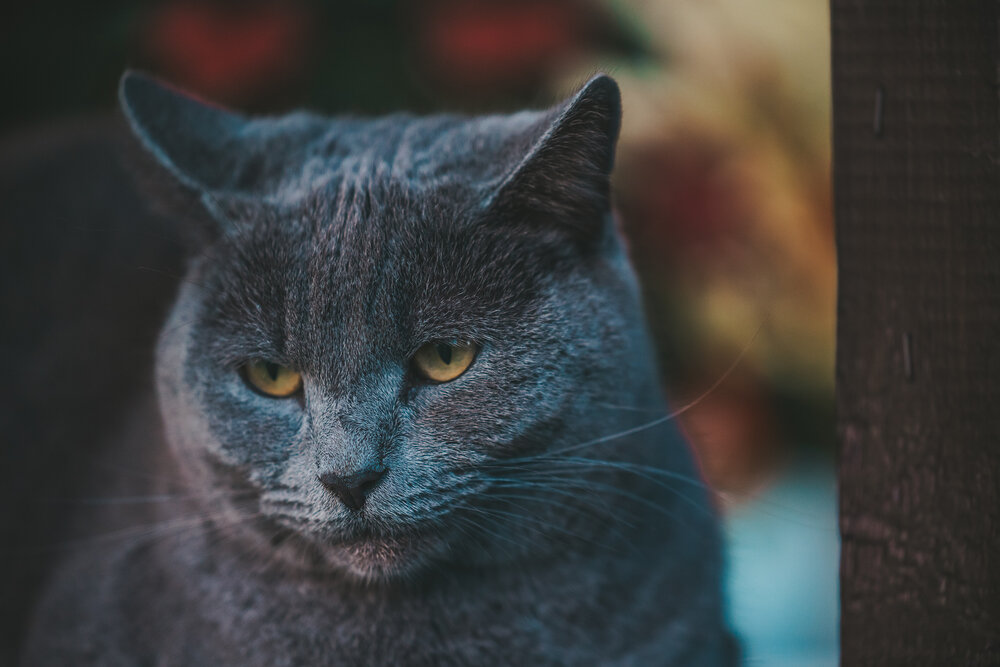 Photograph by Тимур Зенин