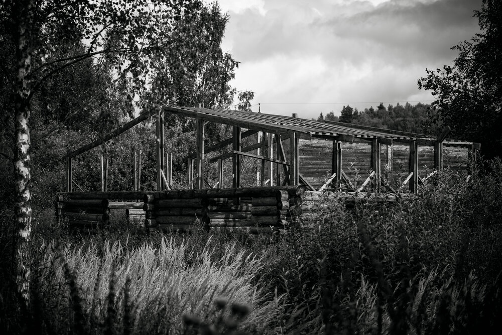 Photograph by Тимур Зенин