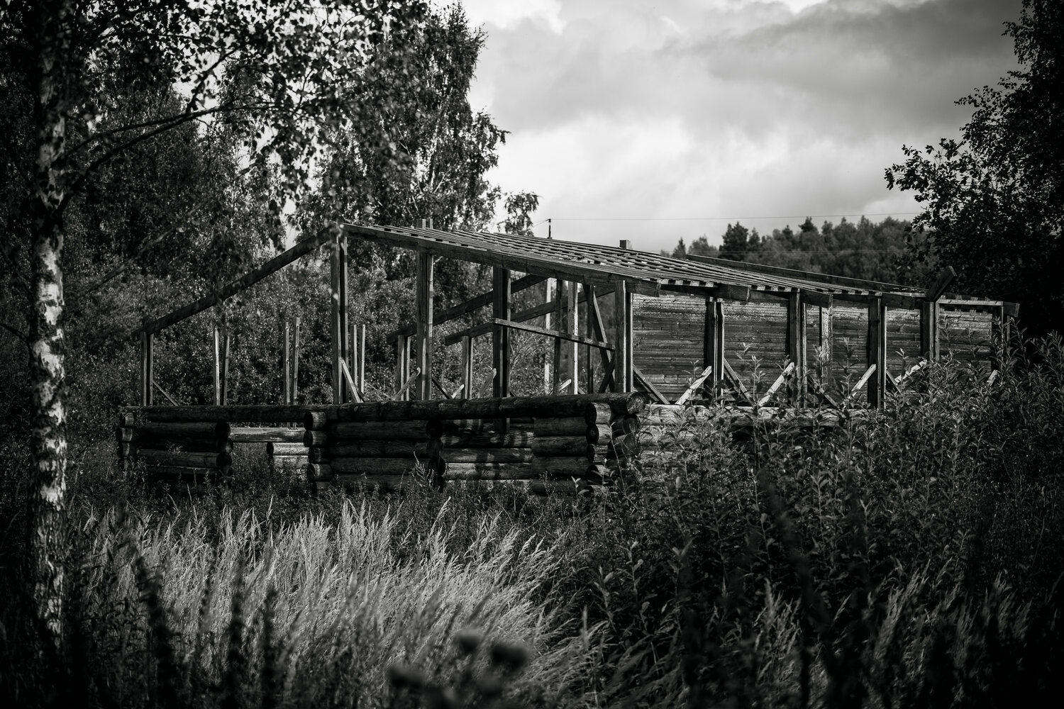 Photo #14035801