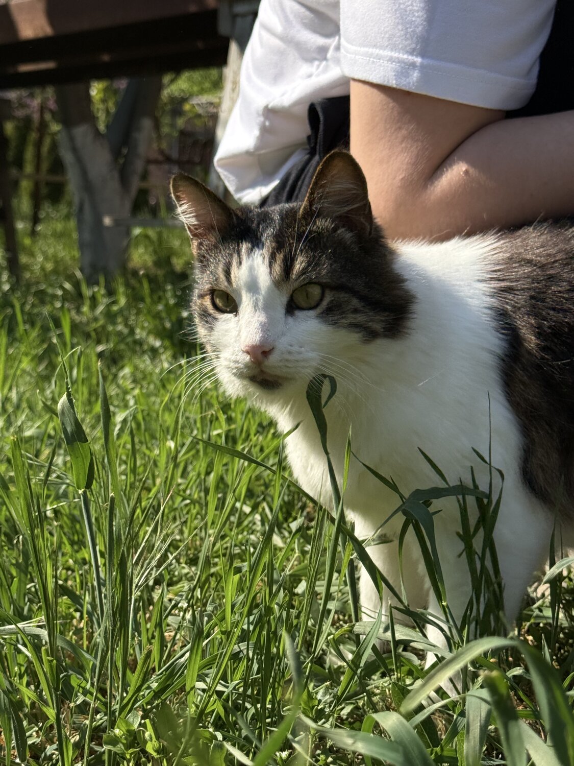Photo #14035805