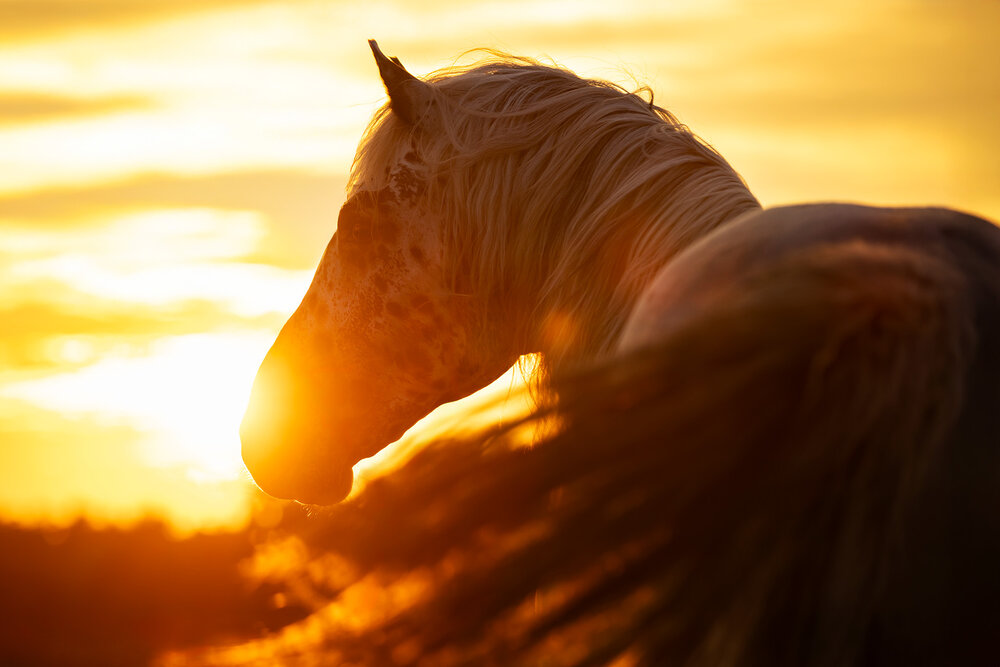 Photograph by Agata Kołodziejczyk