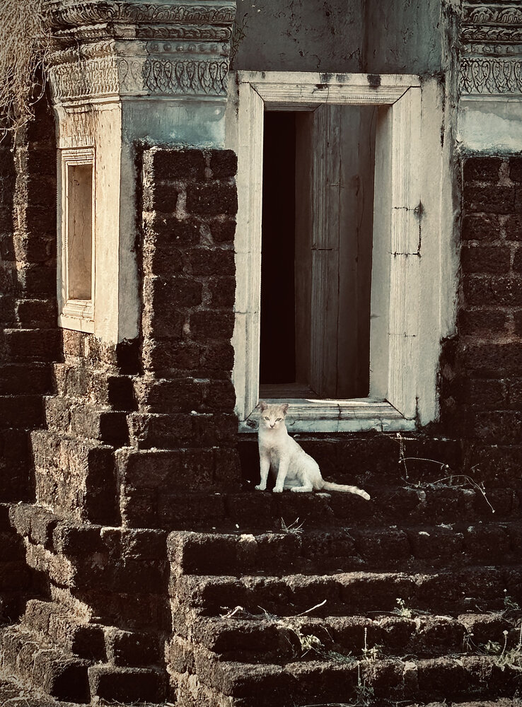 Photograph by K.AKILA NIDUSH