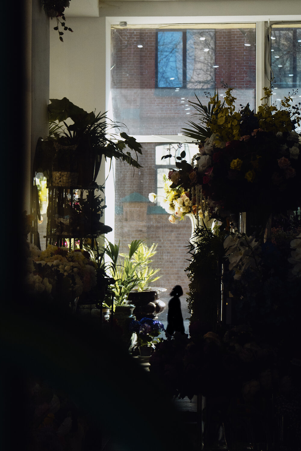 Photo #14035920