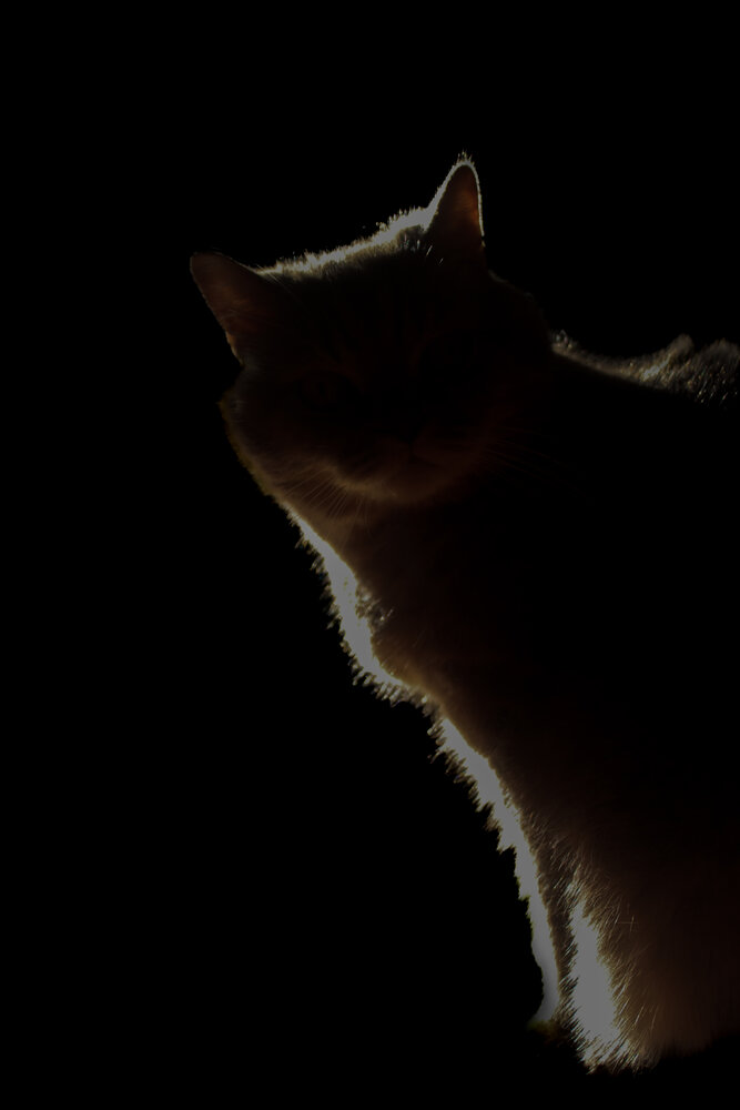 Photograph by Евгения Флиорчук
