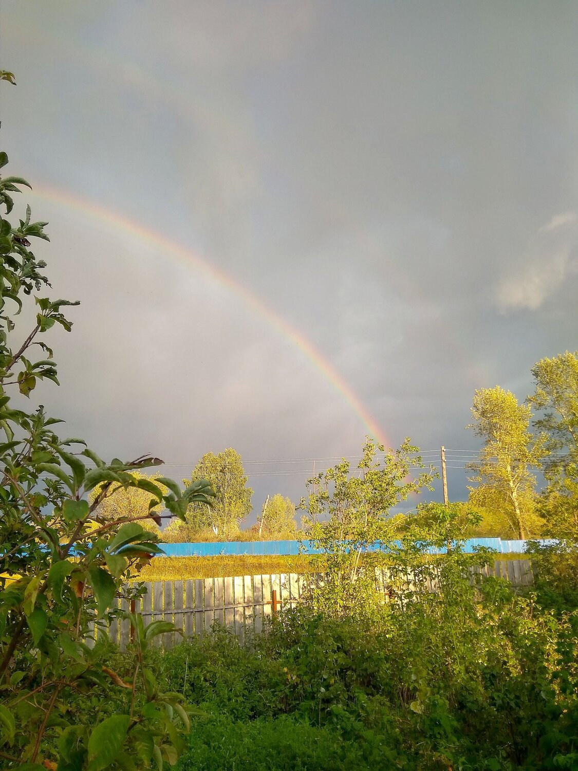 Photo #14035950