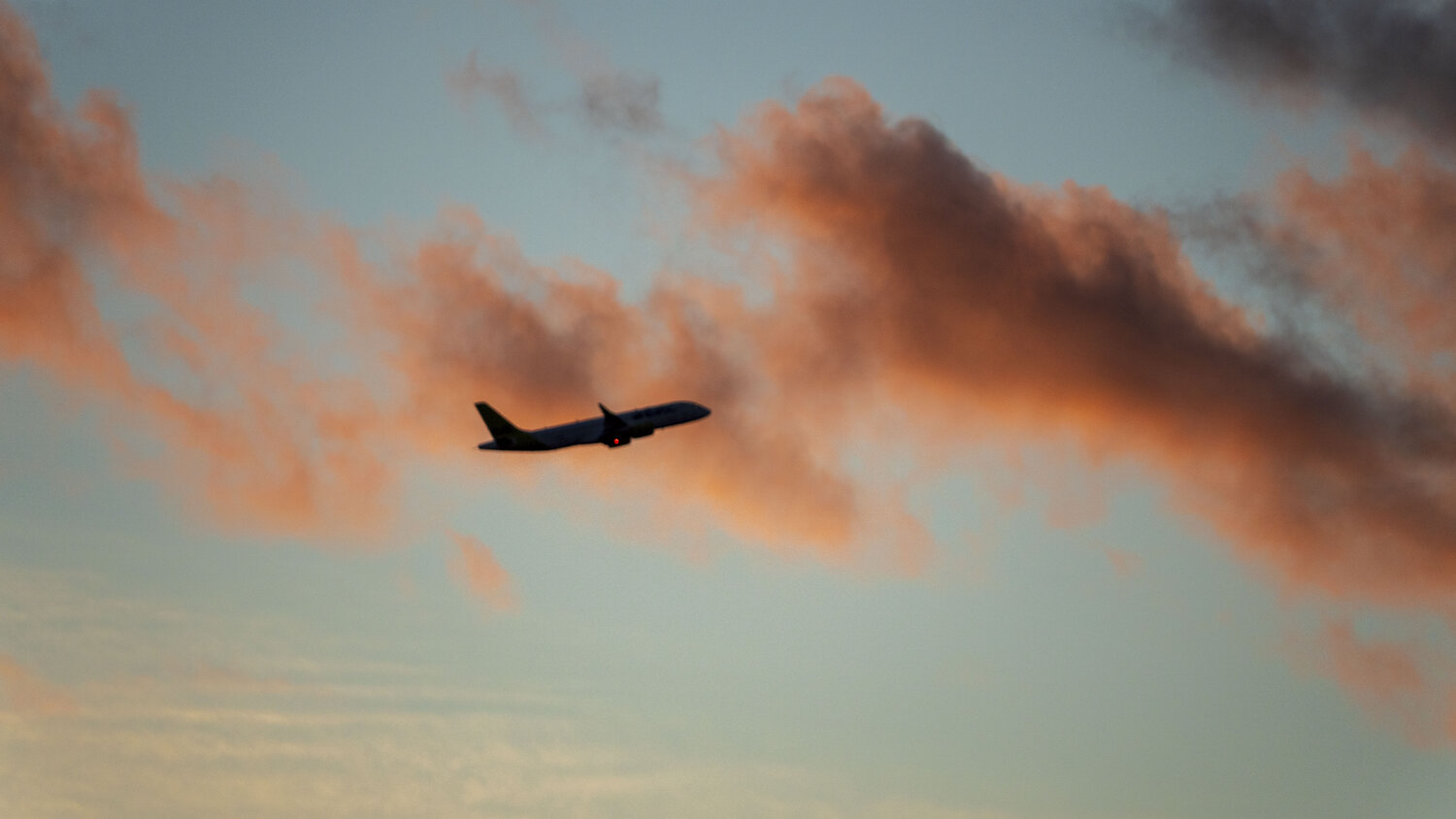Photo #14035987