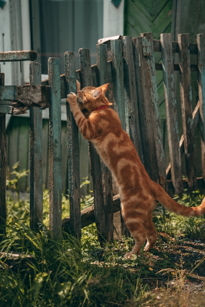 Photograph by Мария Шишкина