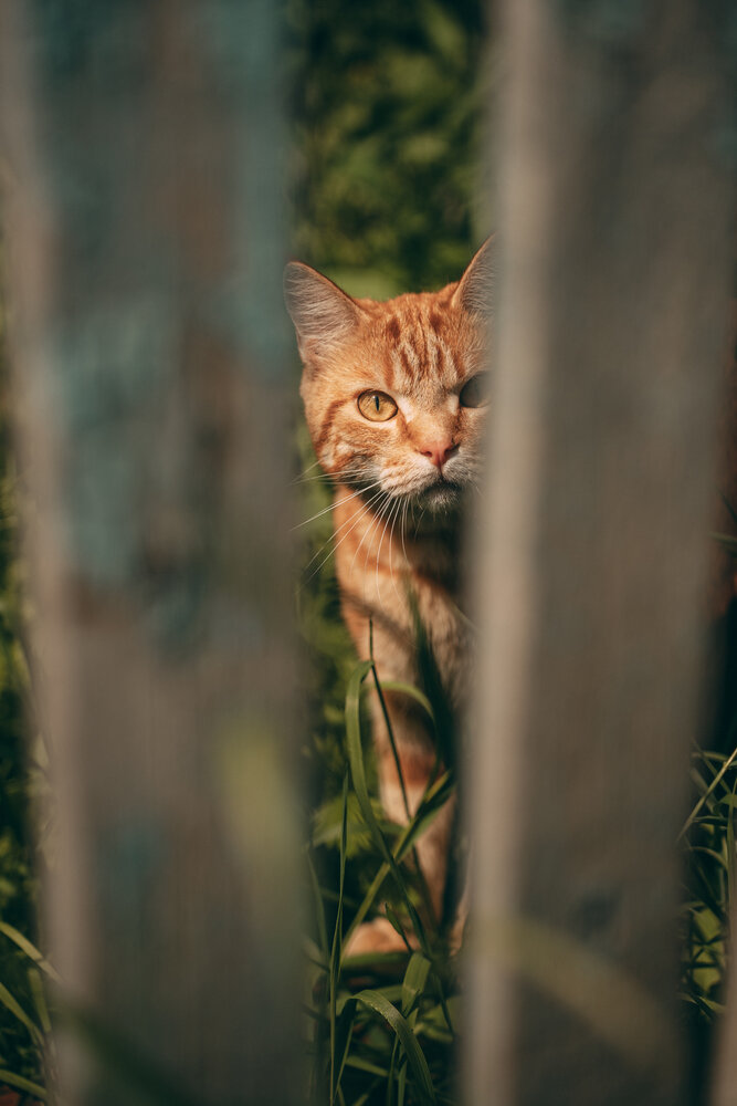 Photograph by Мария Шишкина