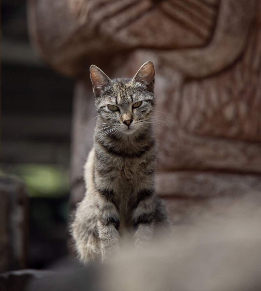Photograph by Ruben Kazaryan