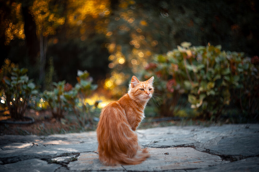 Photograph by Selman Senturk