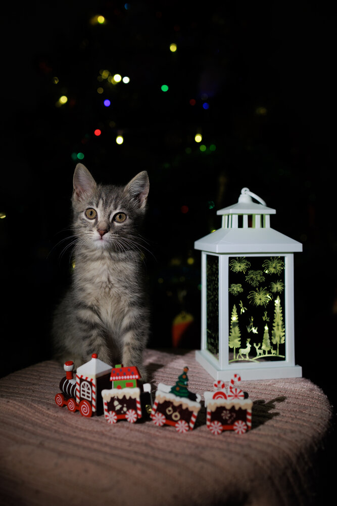 Photograph by Ирина Соколова