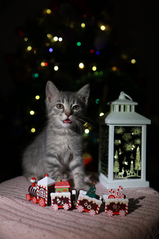 Photograph by Ирина Соколова